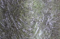 Garden Village fibreglass roof work