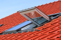 Garden Village roof window